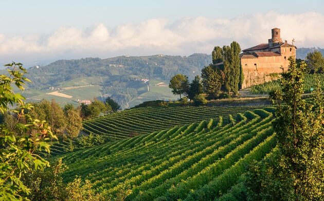 Barolo 2011