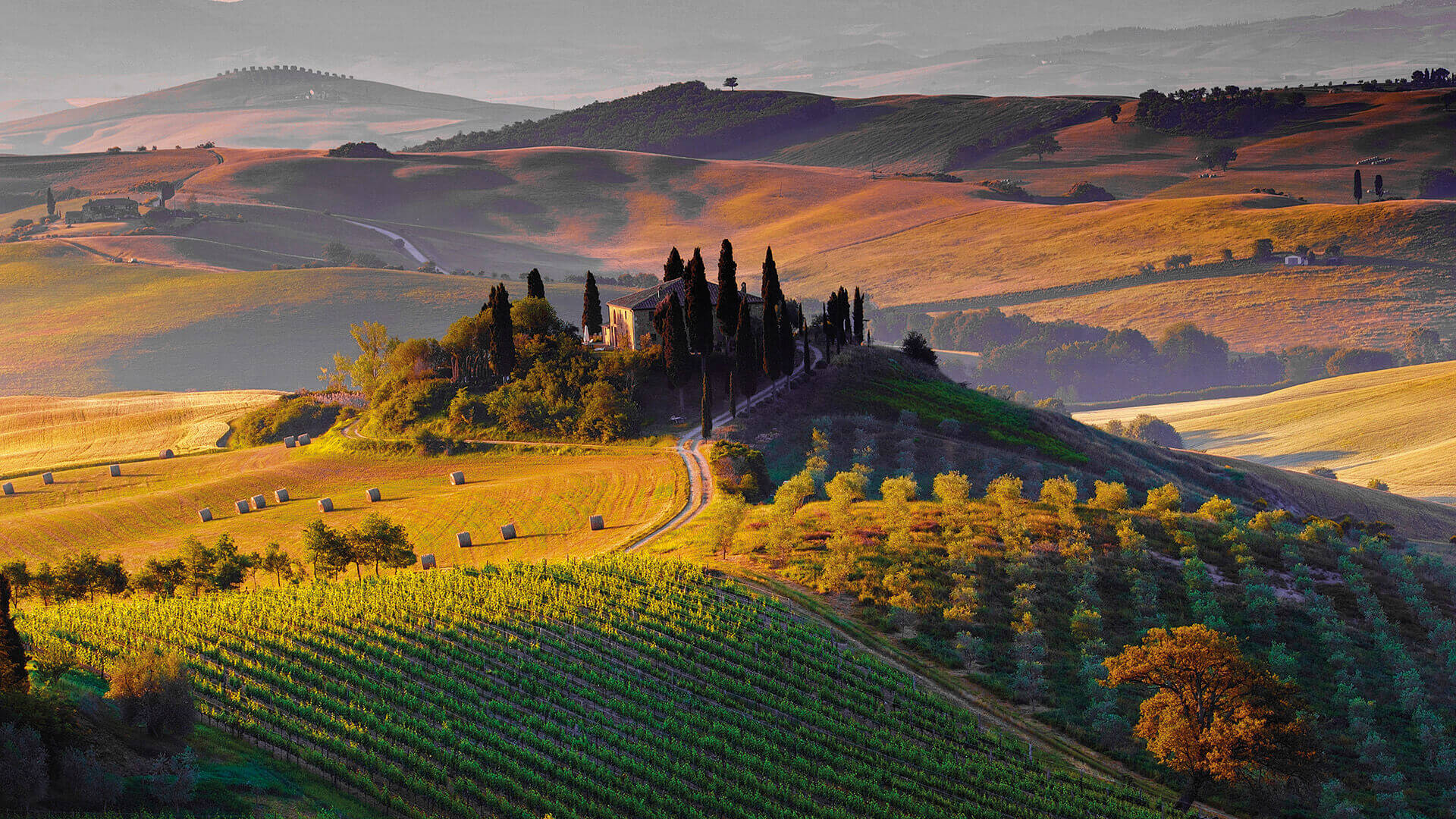 Montalcino