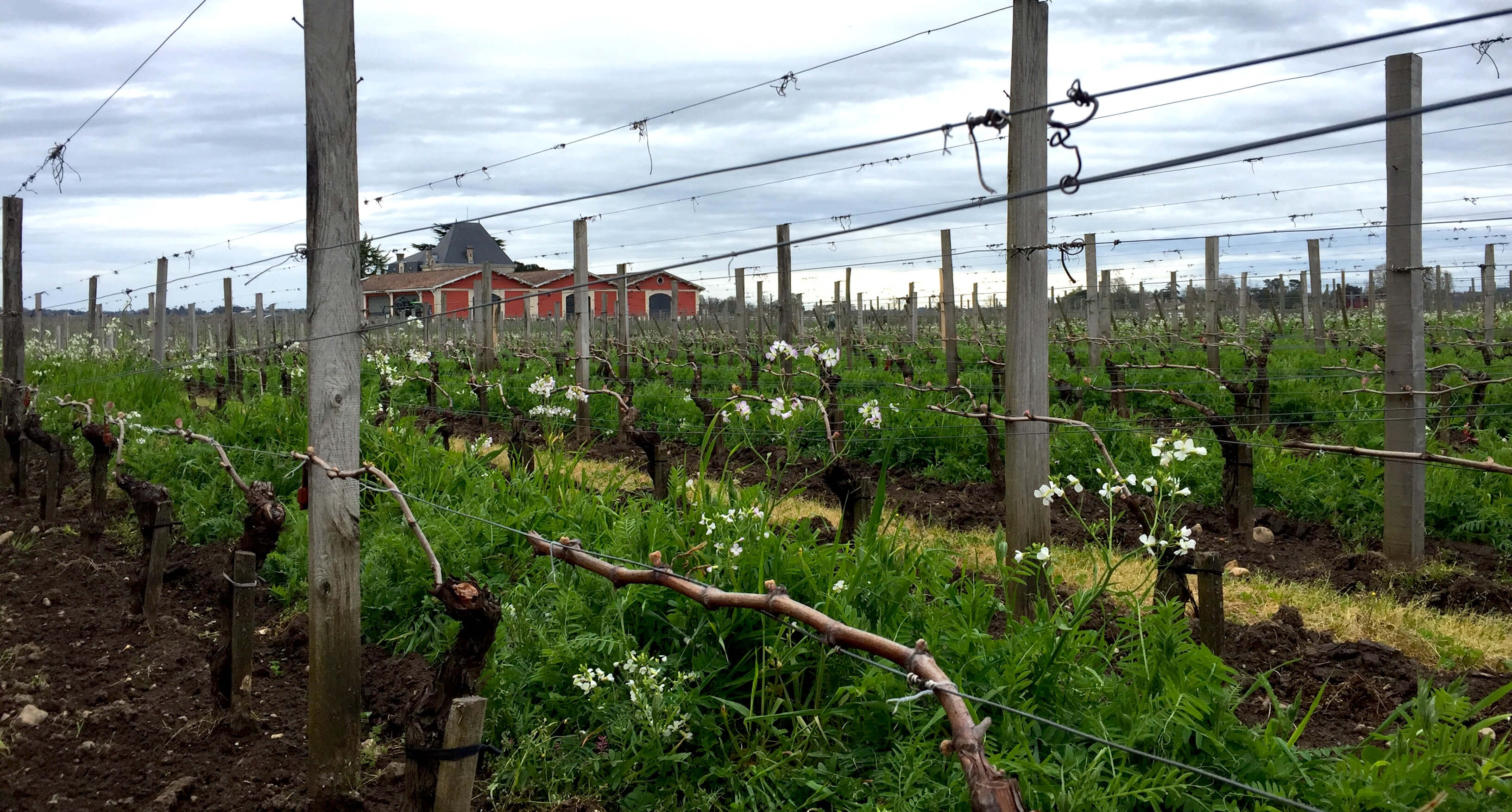 Pomerol